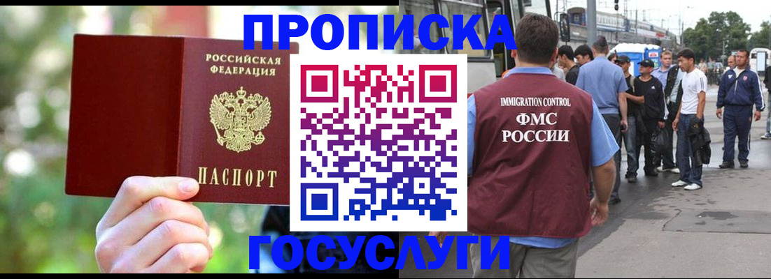 прописка поиск в Сальске